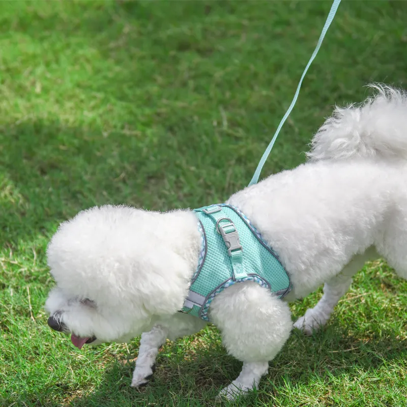 Aiitle Step in Breathable Air Mesh Dog Harness Turquoise