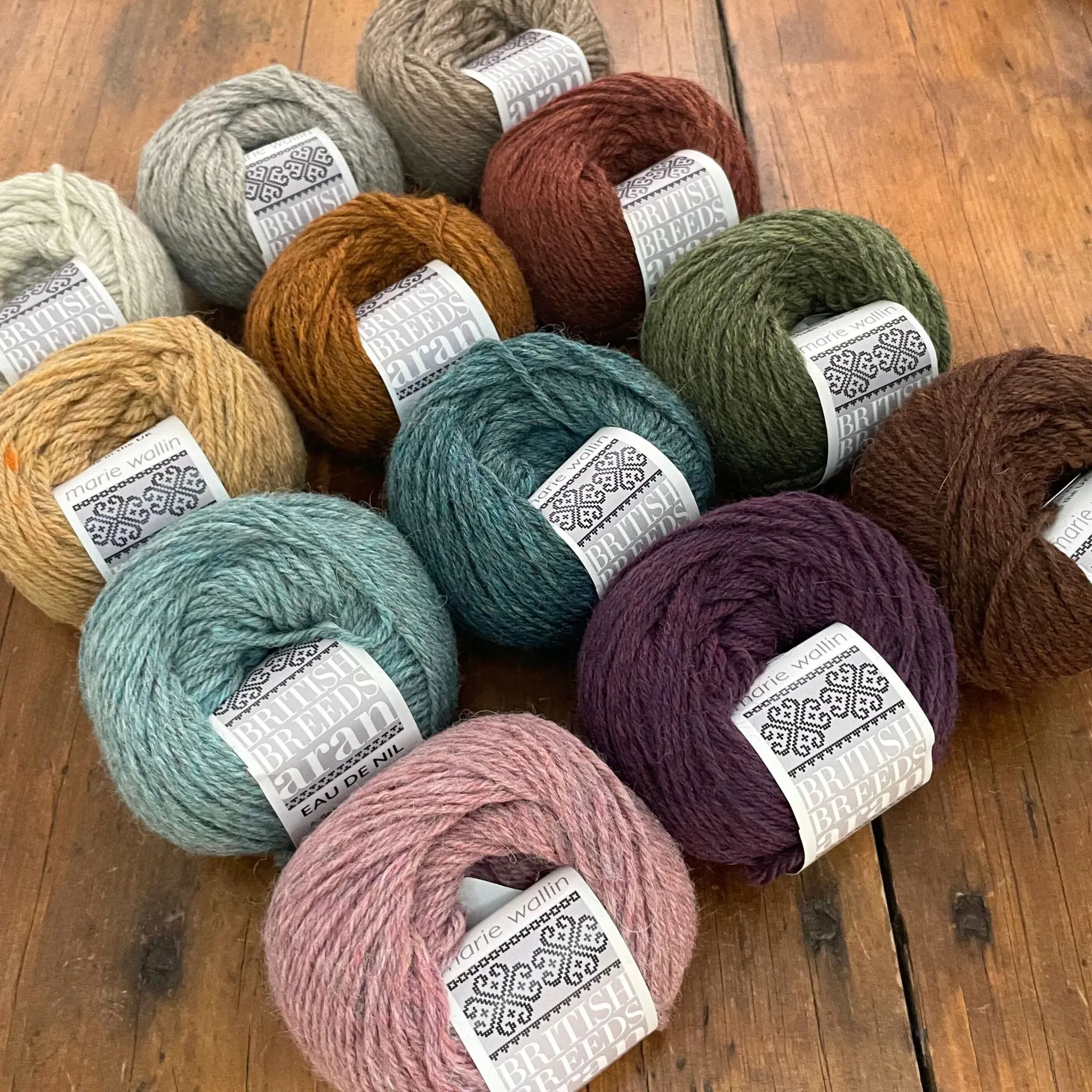 Berwick in British Breeds Aran from Aran