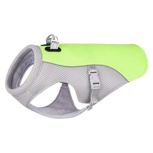 Breathable Summer Dog Cooling Vest for Heat Protection Outdoors