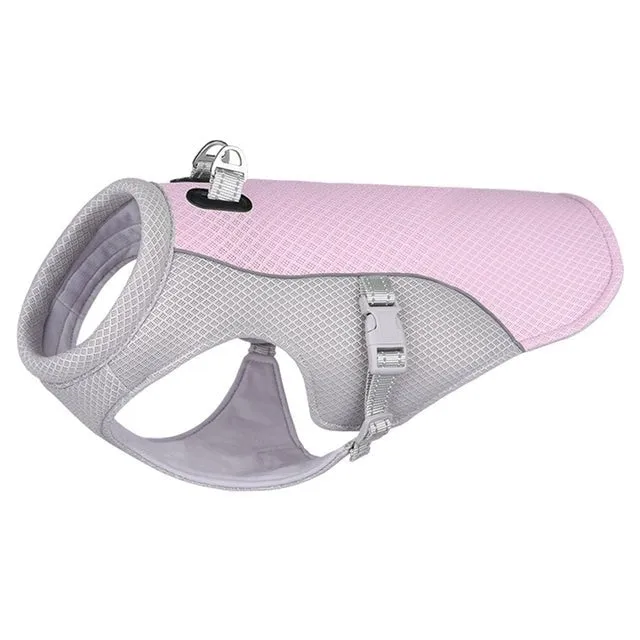 Breathable Summer Dog Cooling Vest for Heat Protection Outdoors